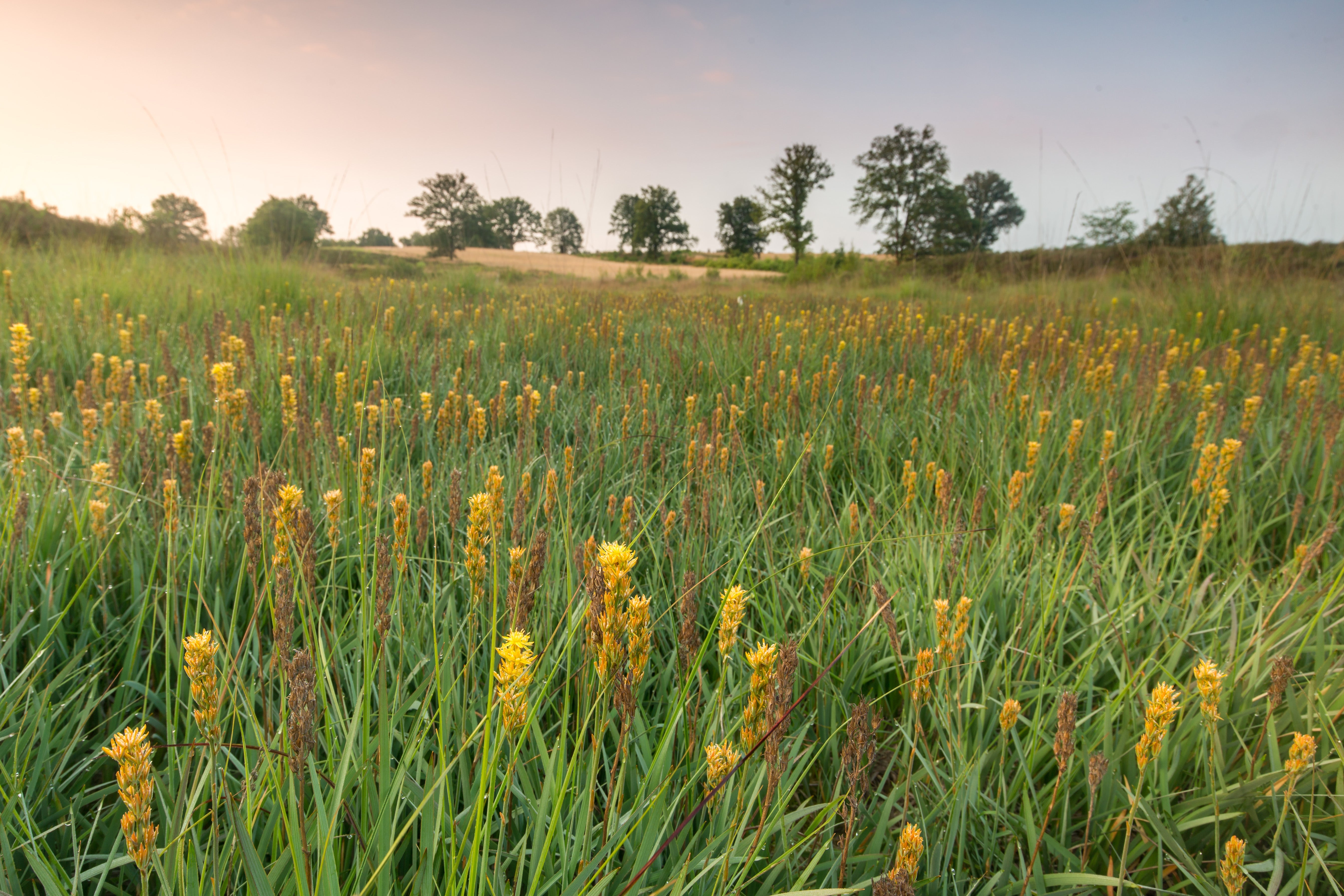 Giving Back 1% | Great Green Minds Think Alike