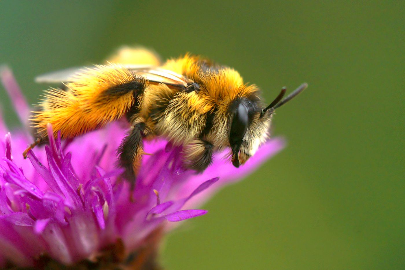 Giving back 1% | BEE my baby