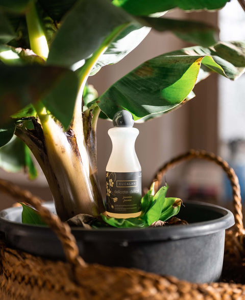 Wolwasmiddel EUCALAN 100ML Grapefruit