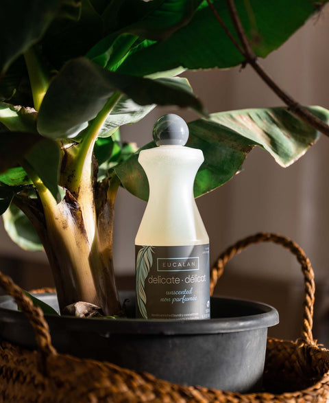 Wool detergent EUCALAN 500ML Non Parfume